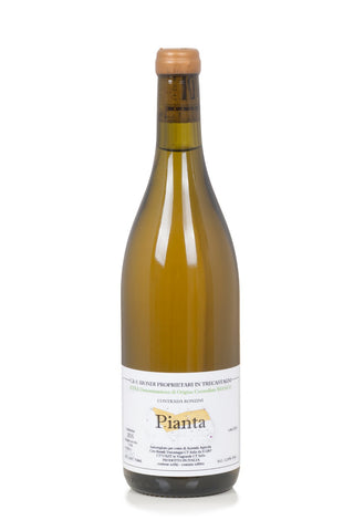 PIANTA ETNA BIANCO DOC